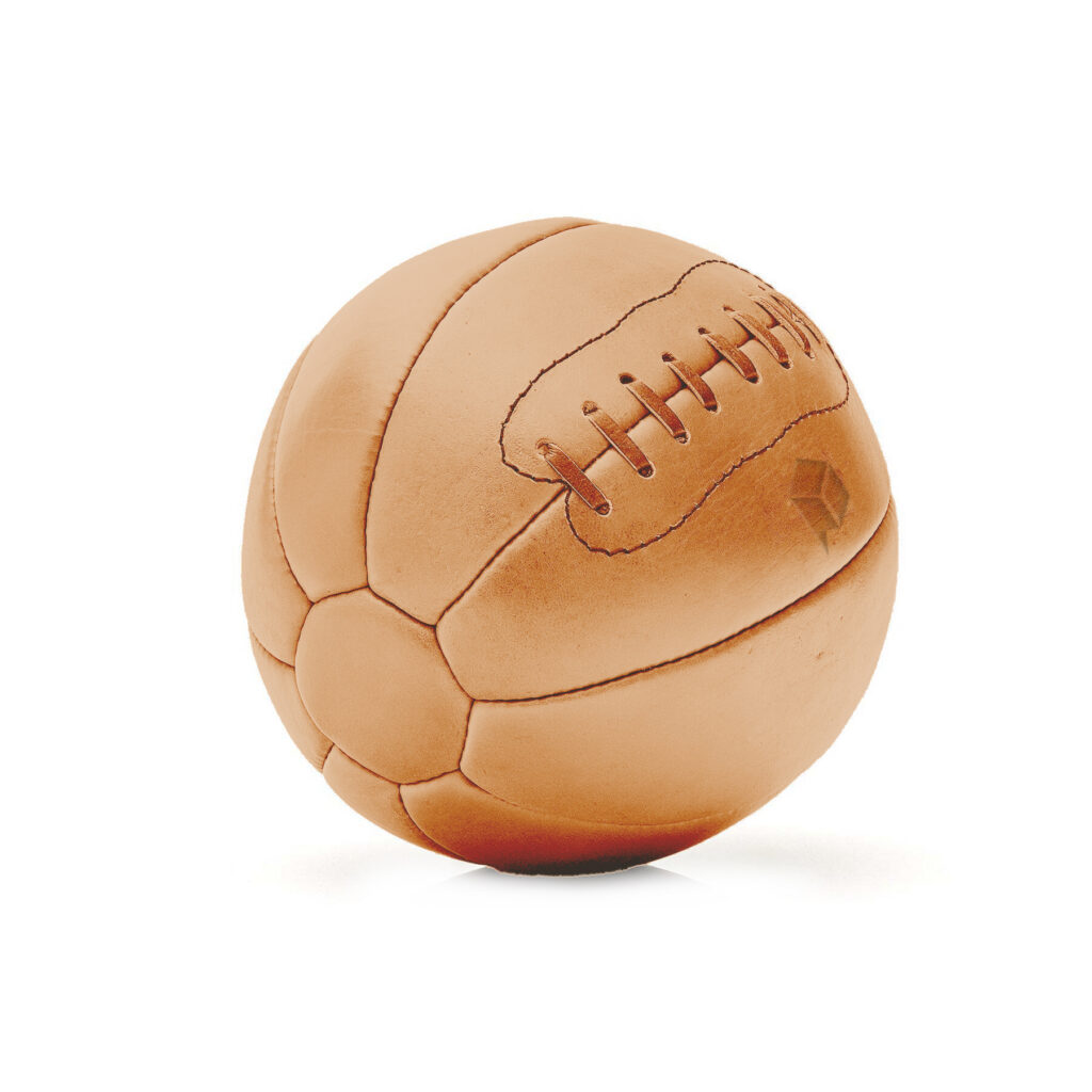 Classic Leather Medicine Balls