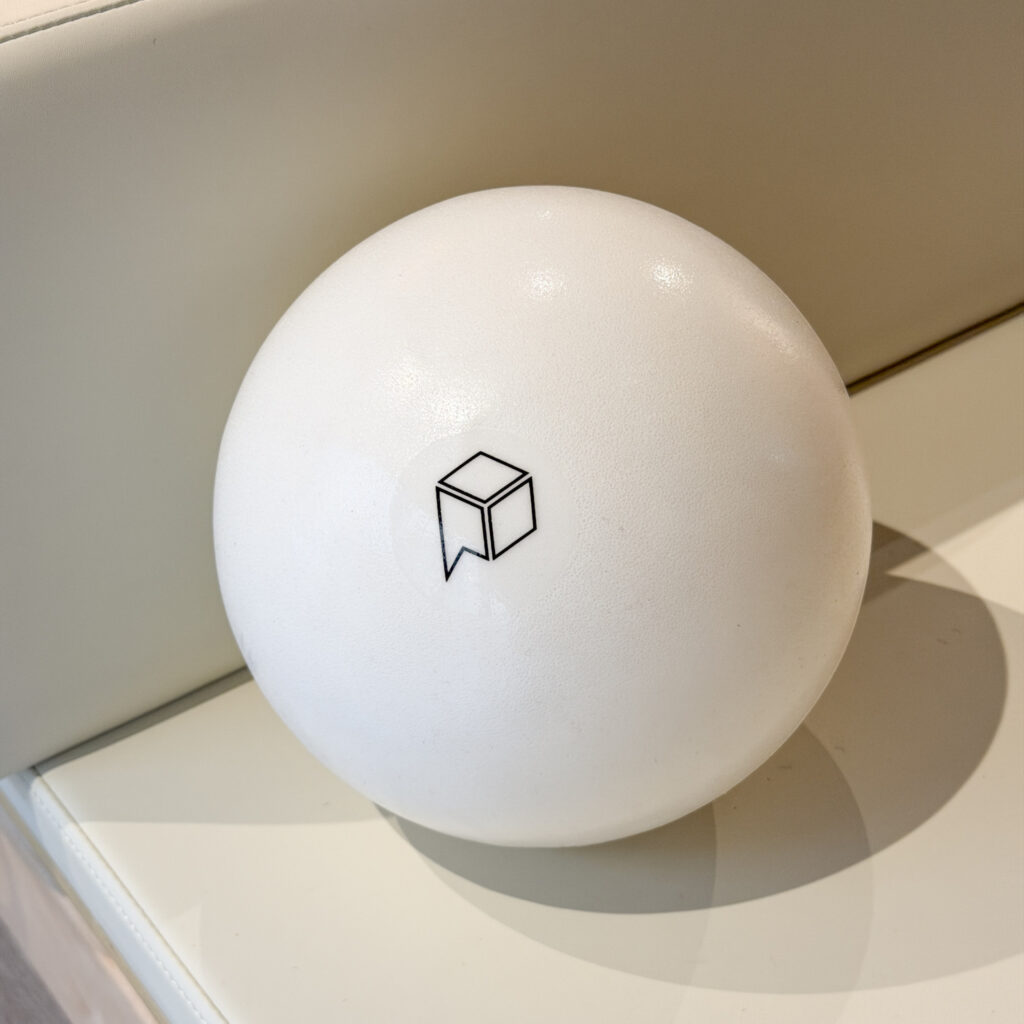 Pilates Ball